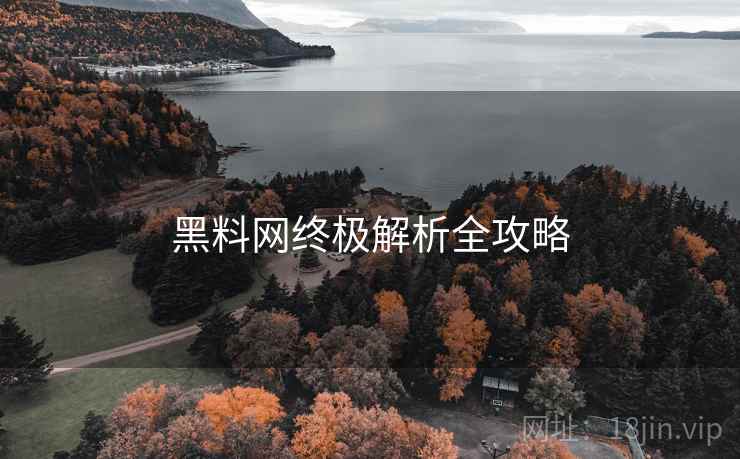 黑料网终极解析全攻略