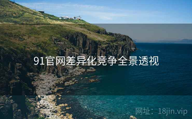 91官网差异化竞争全景透视