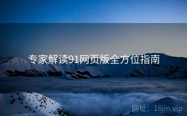 专家解读91网页版全方位指南