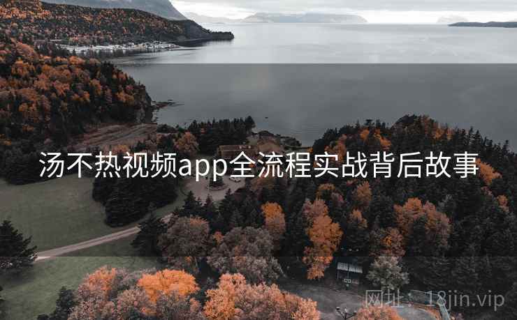 汤不热视频app全流程实战背后故事