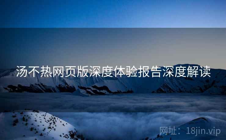 汤不热网页版深度体验报告深度解读