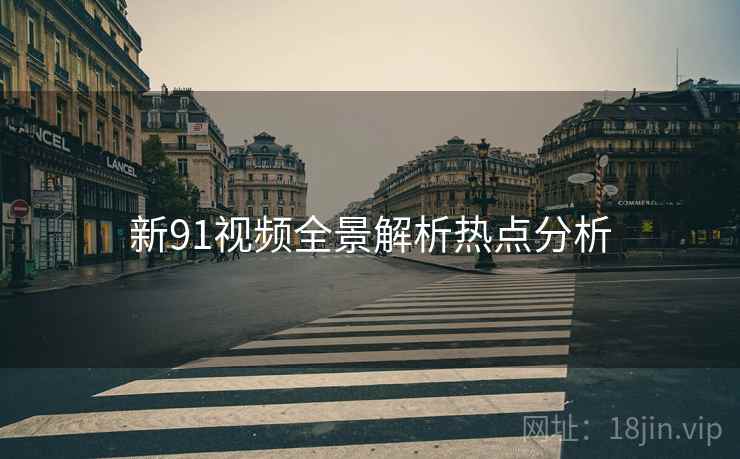 新91视频全景解析热点分析