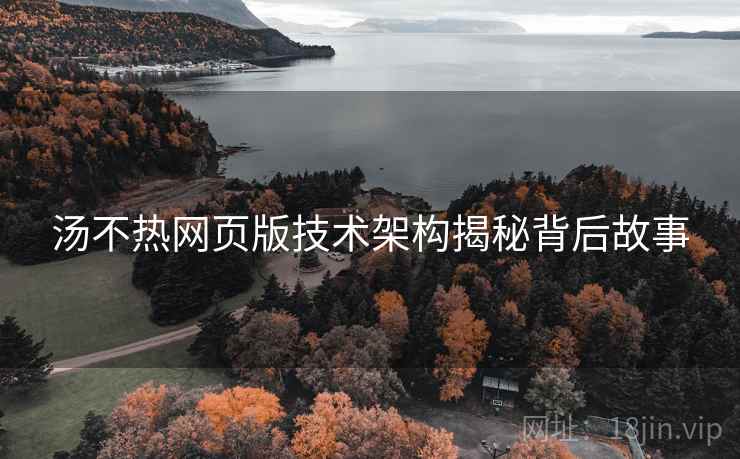 汤不热网页版技术架构揭秘背后故事