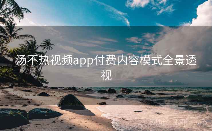 汤不热视频app付费内容模式全景透视
