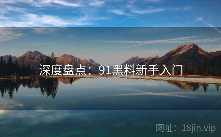 深度盘点：91黑料新手入门