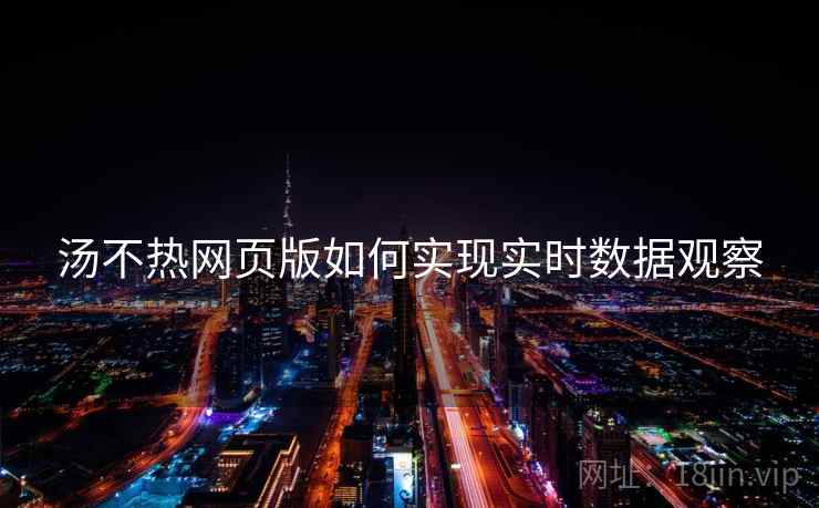 汤不热网页版如何实现实时数据观察