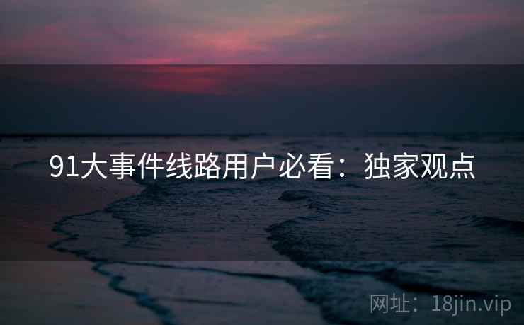 91大事件线路用户必看：独家观点