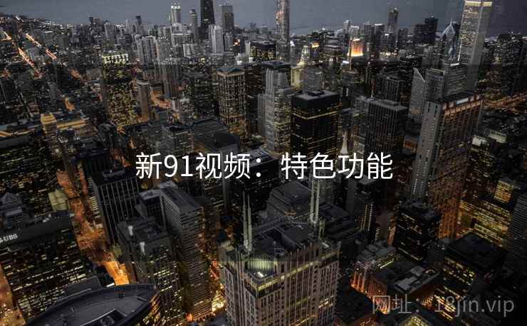 新91视频：特色功能