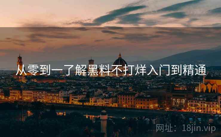 从零到一了解黑料不打烊入门到精通