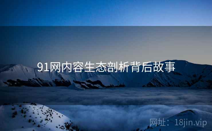 91网内容生态剖析背后故事