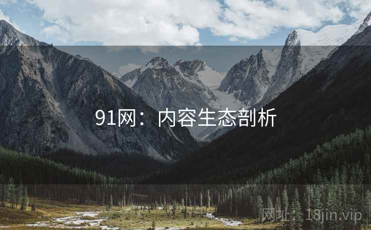 91网：内容生态剖析